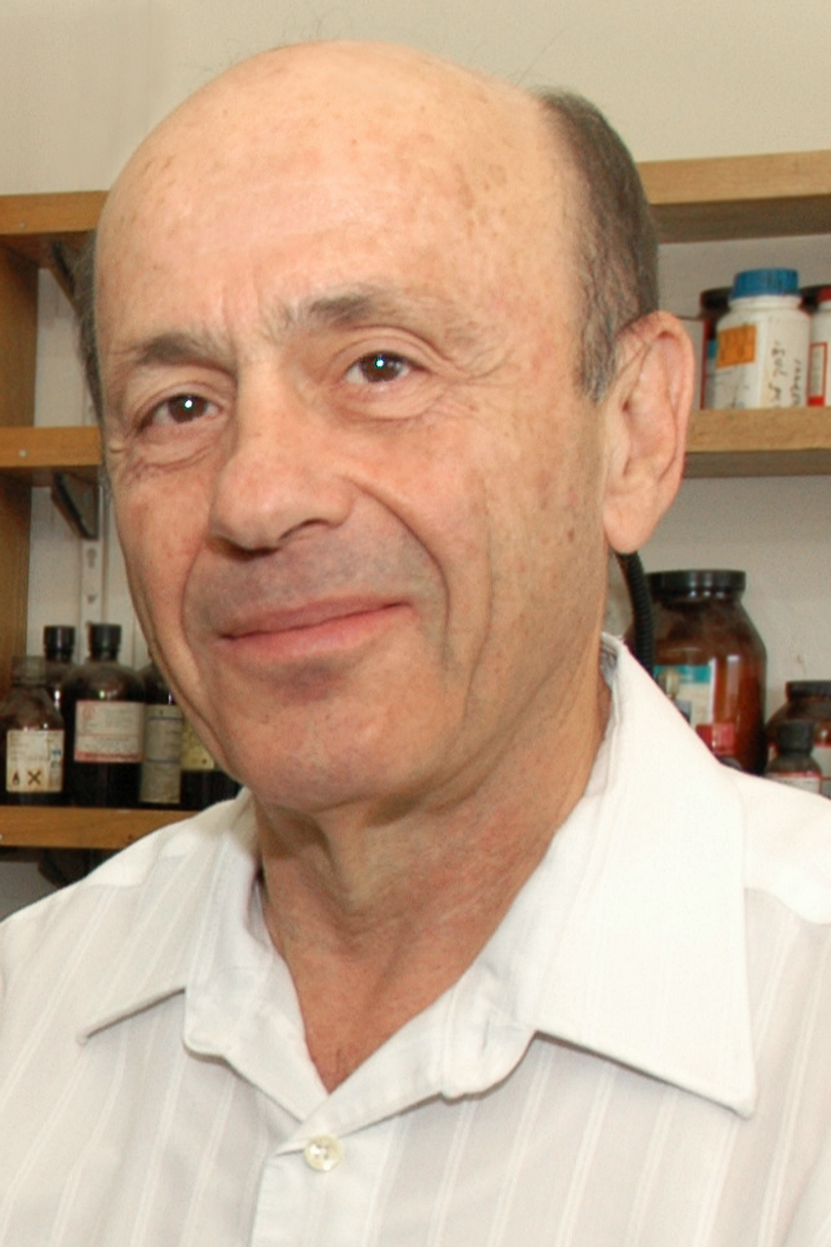 Prof. Emanuel Peled